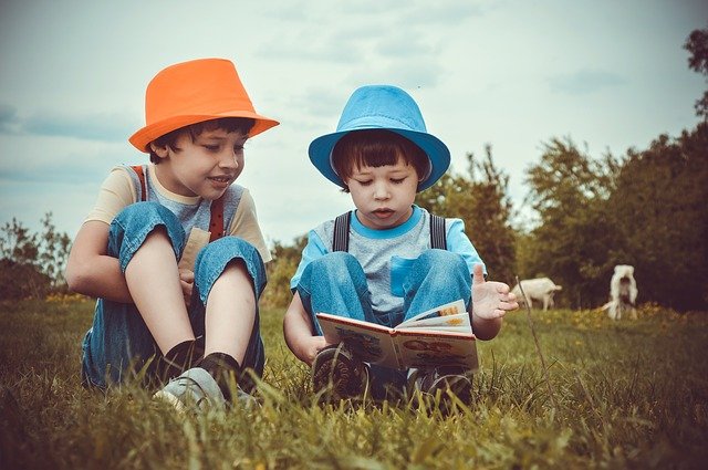 Boys Kids Reading Summer Brothers  - Victoria_Borodinova / Pixabay