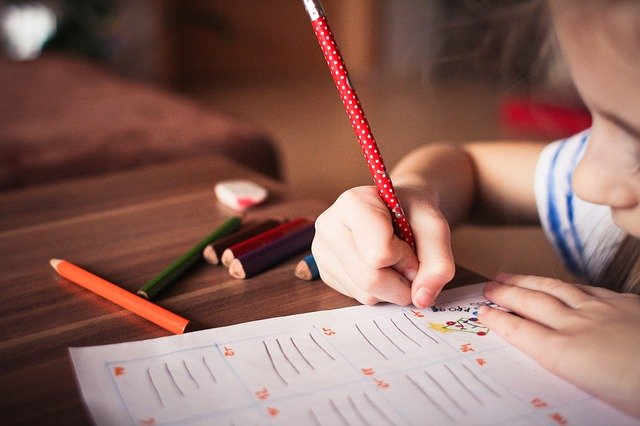 Child Kid Play Study Color Learn  - picjumbo_com / Pixabay