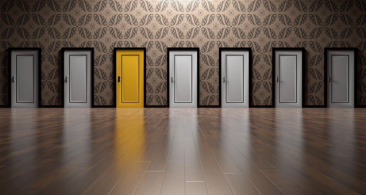 Doors Choices Choose Open Decision  - qimono / Pixabay